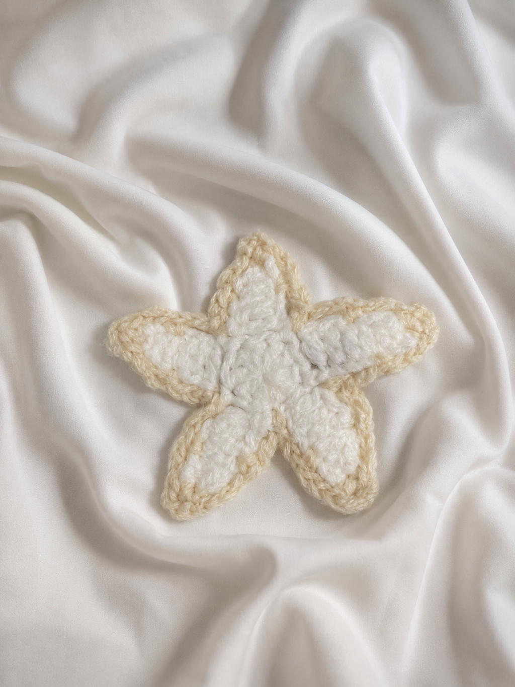 Starfish Hair Clip