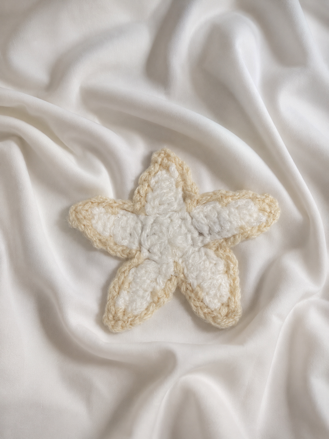 Starfish Hair Clip